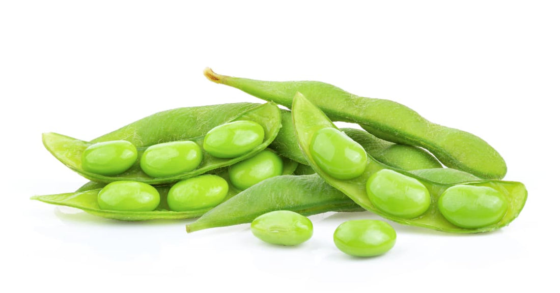 A pile of bright green edamame soybeans. Don't they look cute? Or, uh, sound cute?